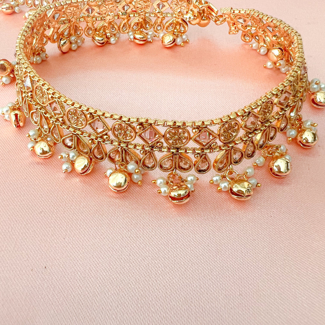 Rohini payals
