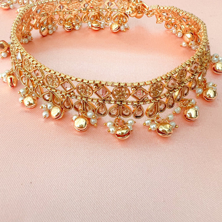 Rohini payals